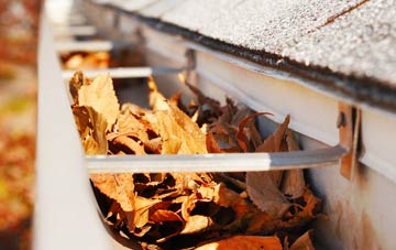 Peartree Green gutter cleaning companies