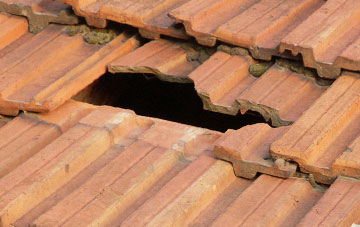roof repair Peartree Green