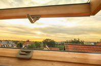 rated Peartree Green roof window companies